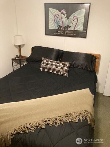 531 N Mountain View Drive, Hoodsport, WA 98548