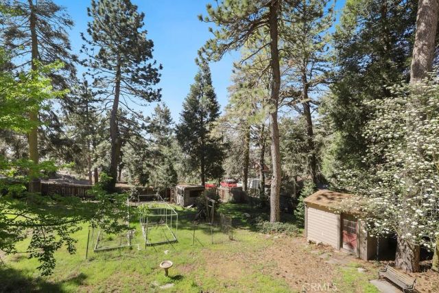 21645 Jobs Peak Road, Cedarpines Park, CA 92322