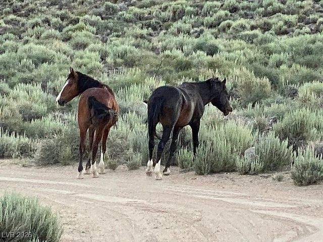 1360 Wild Horse Run, Dyer, NV 89010