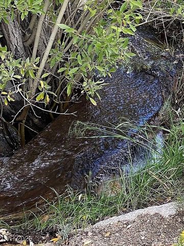 1360 Wild Horse Run, Dyer, NV 89010