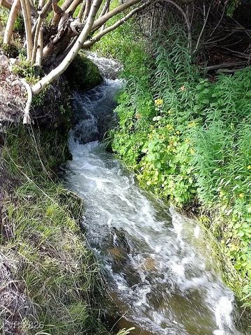 1360 Wild Horse Run, Dyer, NV 89010