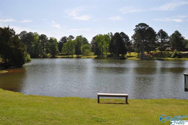 223 Silver Breeze Court, Harvest, AL 35749