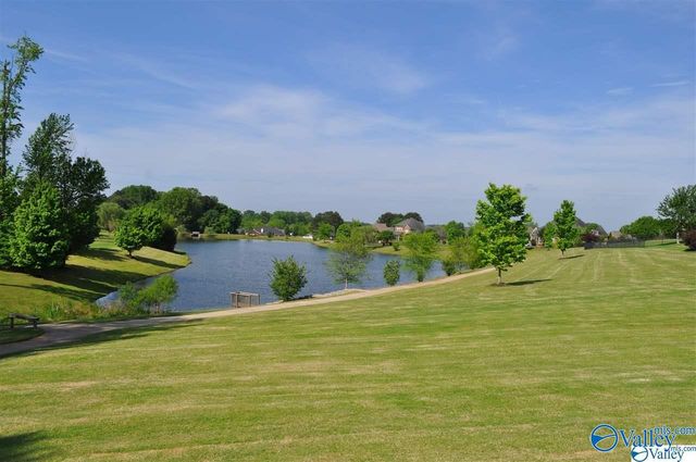 223 Silver Breeze Court, Harvest, AL 35749