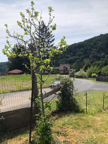 606 Wolverine Way, Shelter Cove, CA 95589