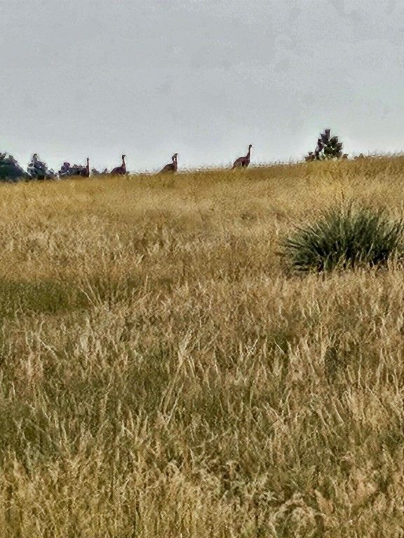 480 Spring Creek Road, Baker, MT 59336 photo 11