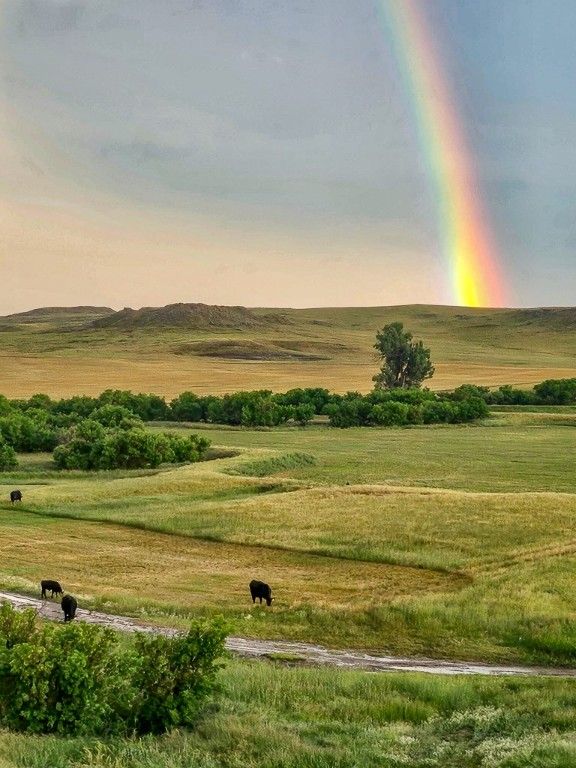 480 Spring Creek Road, Baker, MT 59336 photo 12