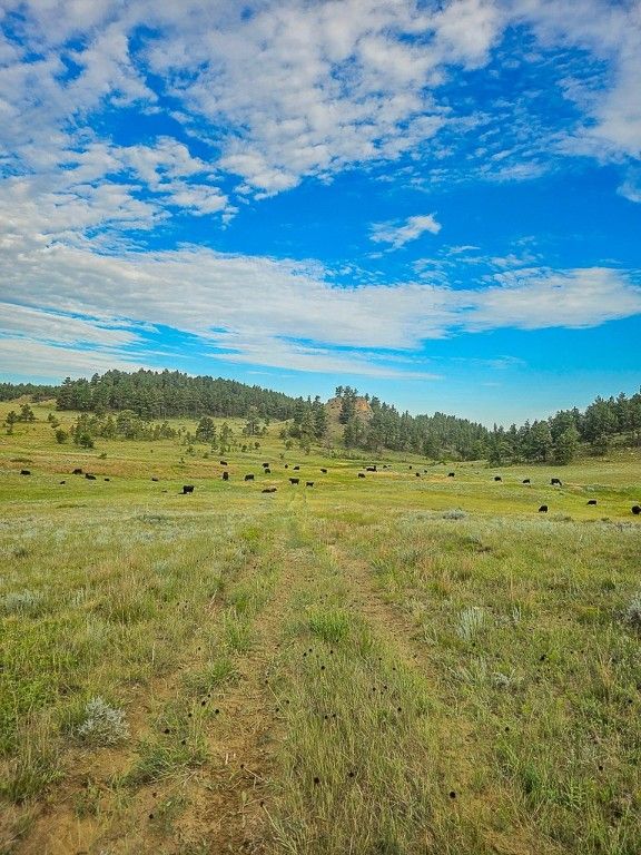 480 Spring Creek Road, Baker, MT 59336 photo 13