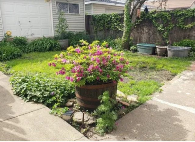 3624 S Parnell Avenue, Chicago, IL 60609