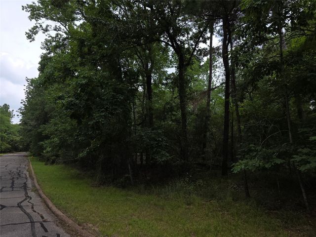 TBD Bermuda Dune, Huntsville, TX 77364
