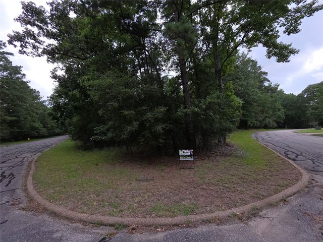 TBD Bermuda Dune, Huntsville, TX 77364