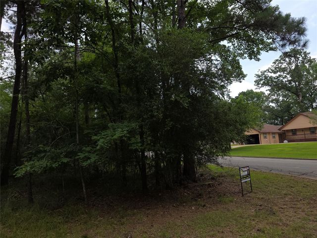 TBD Bermuda Dune, Huntsville, TX 77364