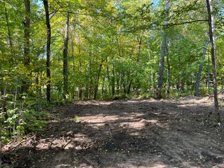 TBD Ski Gull Lane SW, Nisswa, MN 56468