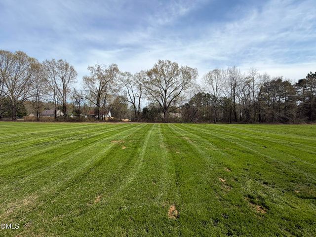 86 Hot Springs Way, Benson, NC 27504