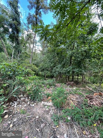 WHITE OAK DR, Rawlings, MD 21557