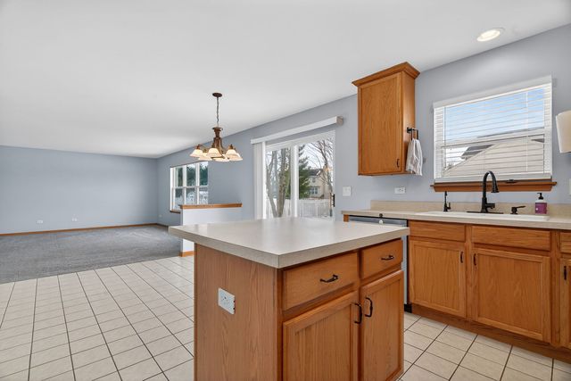 1509 Donegal Drive, Minooka, IL 60447