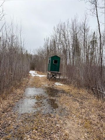 28465 Highway 71 NE, Blackduck, MN 56630