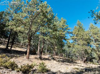205 Stonehenge Drive, Florissant, CO 80816
