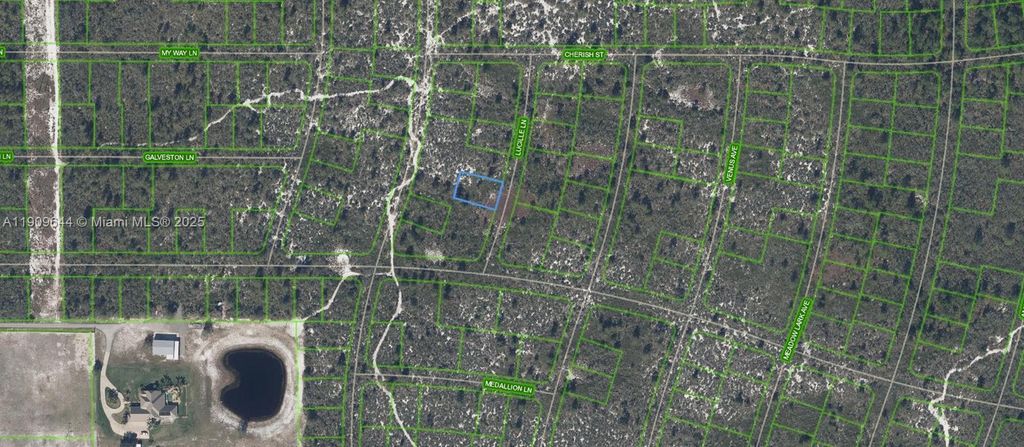 431 Lucille Lane, Lake Placid, FL 33852