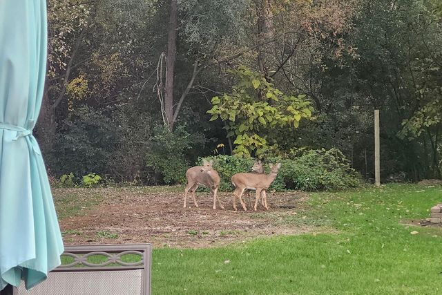 517 Fox Knoll DRIVE, Waterford, WI 53185