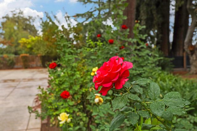 6371 Mulberry Ln, Stockton, CA 95212