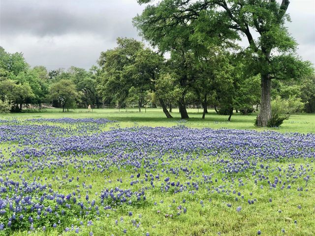 900 Canyonwood DR, Dripping Springs, TX 78620