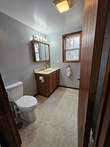 414 Quarterline Street, Portland, MI 48875