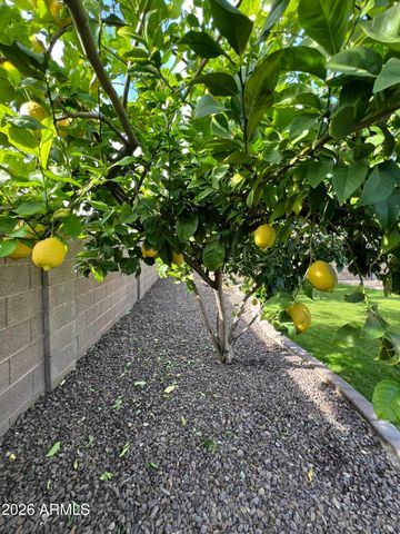 6563 E NORTHRIDGE Street, Mesa, AZ 85215