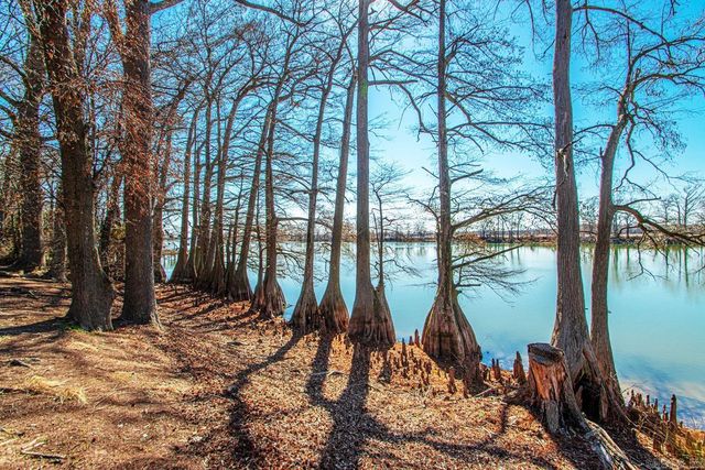 335 Old Dirt Road, England, AR 72046