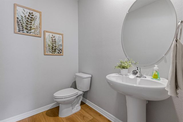 16129 SOFT FERN TRACE, Odessa, FL 33556