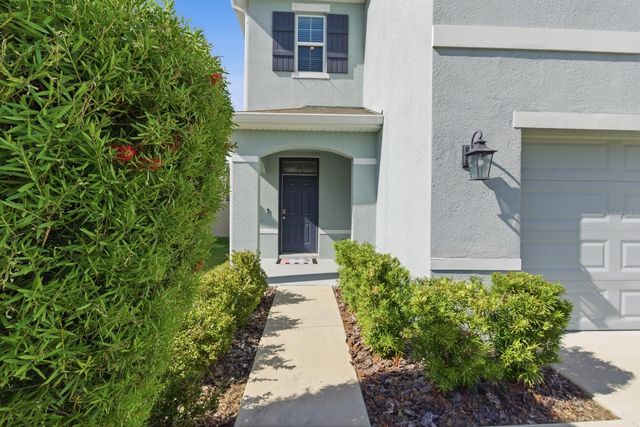 16129 SOFT FERN TRACE, Odessa, FL 33556