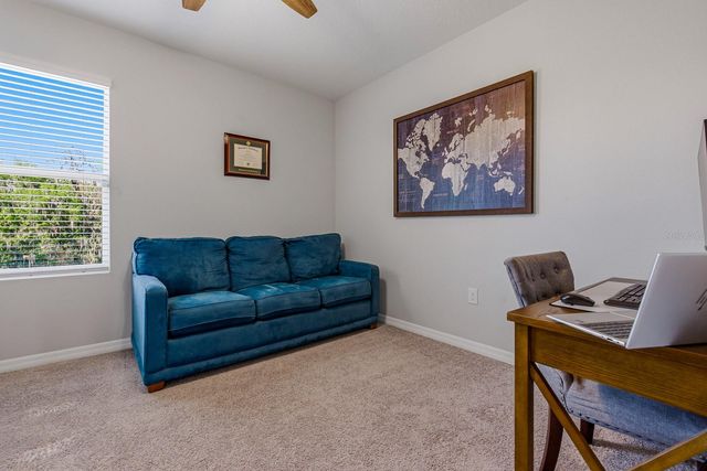 16129 SOFT FERN TRACE, Odessa, FL 33556