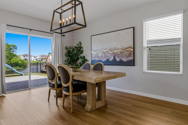 16129 SOFT FERN TRACE, Odessa, FL 33556