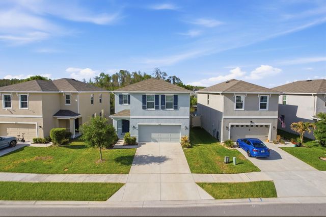 16129 SOFT FERN TRACE, Odessa, FL 33556