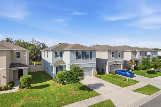 16129 SOFT FERN TRACE, Odessa, FL 33556