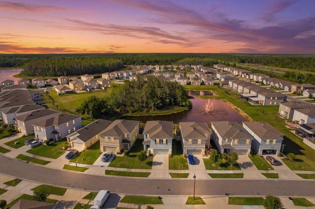 16129 SOFT FERN TRACE, Odessa, FL 33556