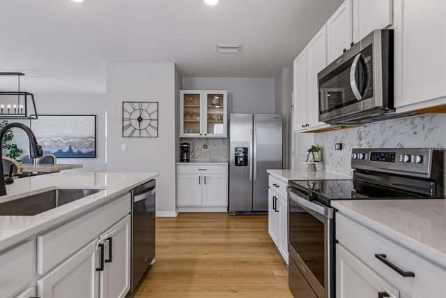 16129 SOFT FERN TRACE, Odessa, FL 33556