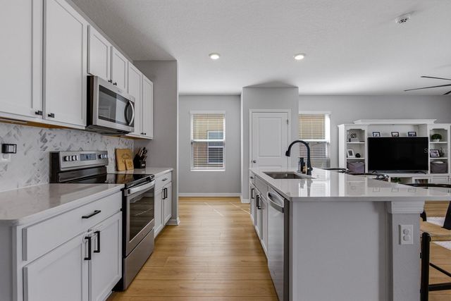 16129 SOFT FERN TRACE, Odessa, FL 33556