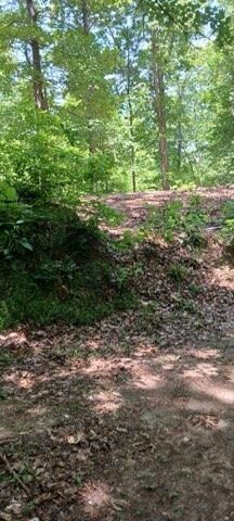 311 Roberts Mill Road, Hixson, TN 37343