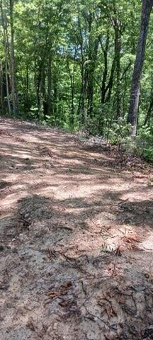 311 Roberts Mill Road, Hixson, TN 37343