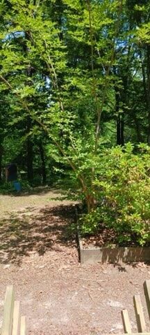 311 Roberts Mill Road, Hixson, TN 37343