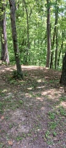 311 Roberts Mill Road, Hixson, TN 37343