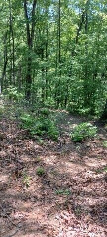 311 Roberts Mill Road, Hixson, TN 37343