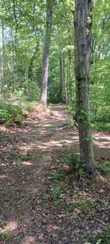 311 Roberts Mill Road, Hixson, TN 37343