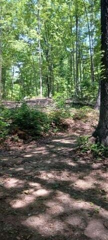 311 Roberts Mill Road, Hixson, TN 37343