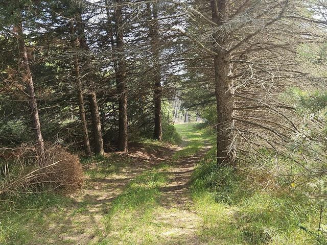 928 Pilgrim Highway, Frankfort, MI 49635