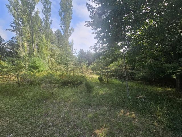 928 Pilgrim Highway, Frankfort, MI 49635