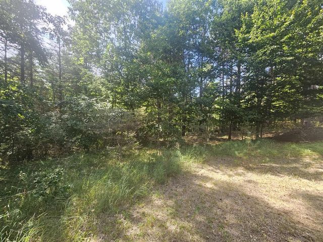 928 Pilgrim Highway, Frankfort, MI 49635