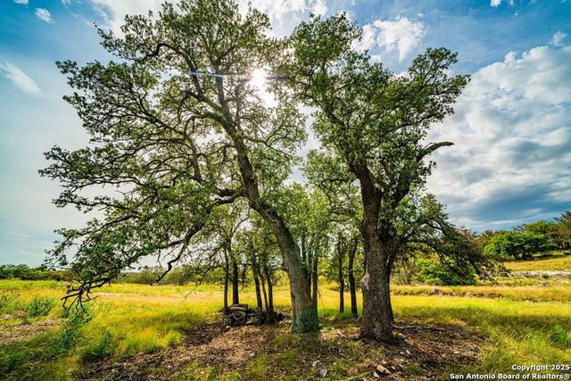 326 Blue Oak Tr, Harper, TX 78631