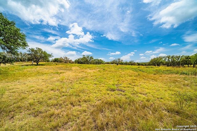 326 Blue Oak Tr, Harper, TX 78631