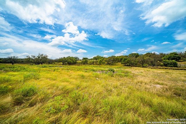 326 Blue Oak Tr, Harper, TX 78631